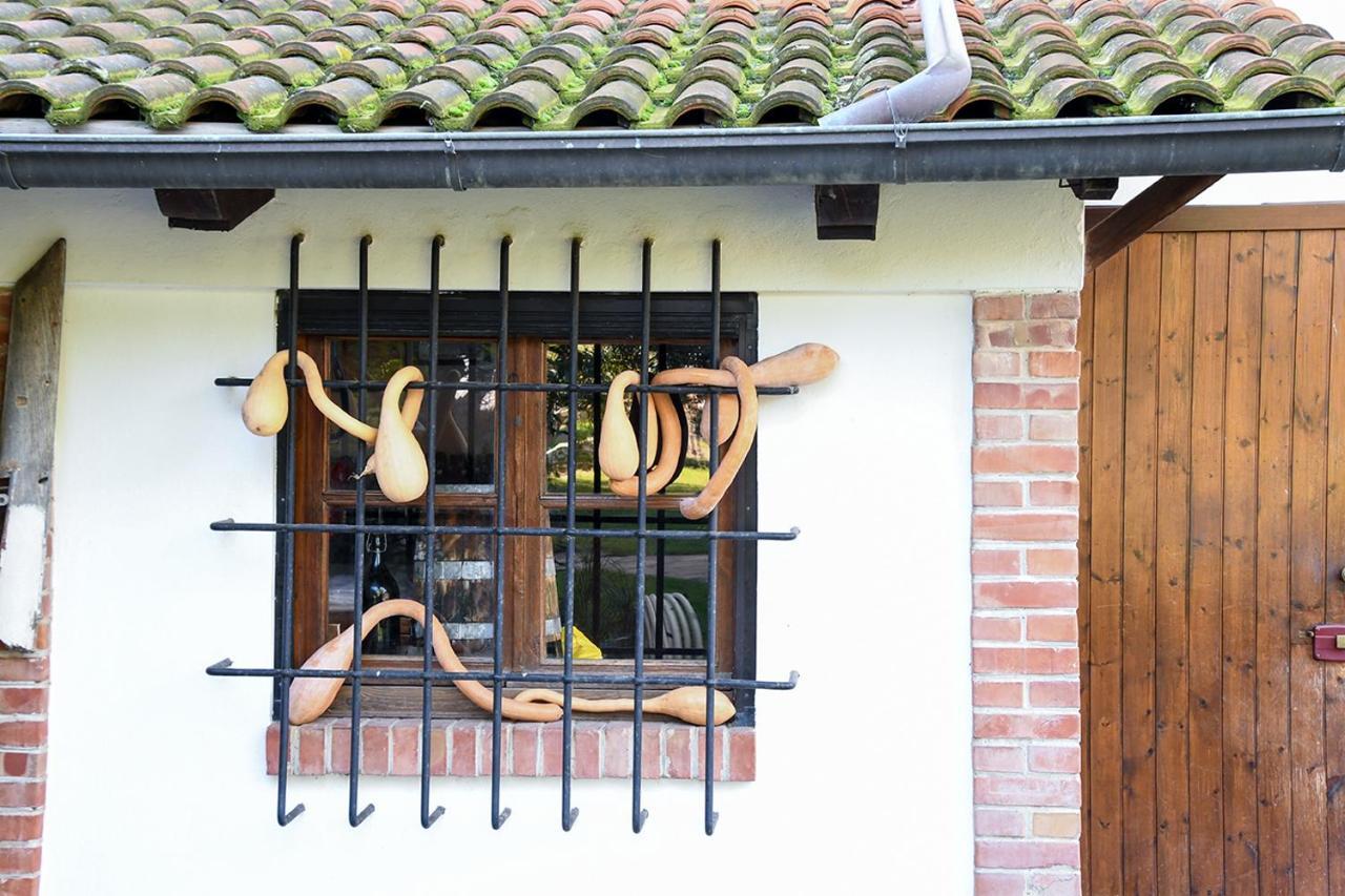Casa Zafferano Guest House Albenga Exterior photo